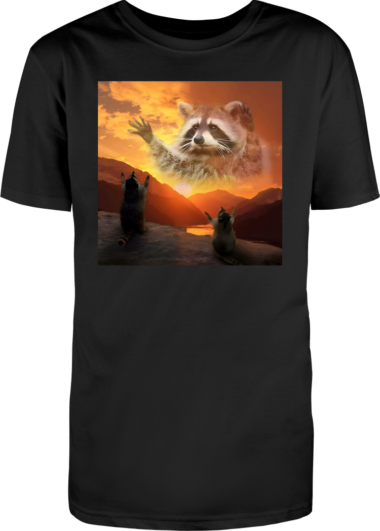 The Great Raccoon Sky