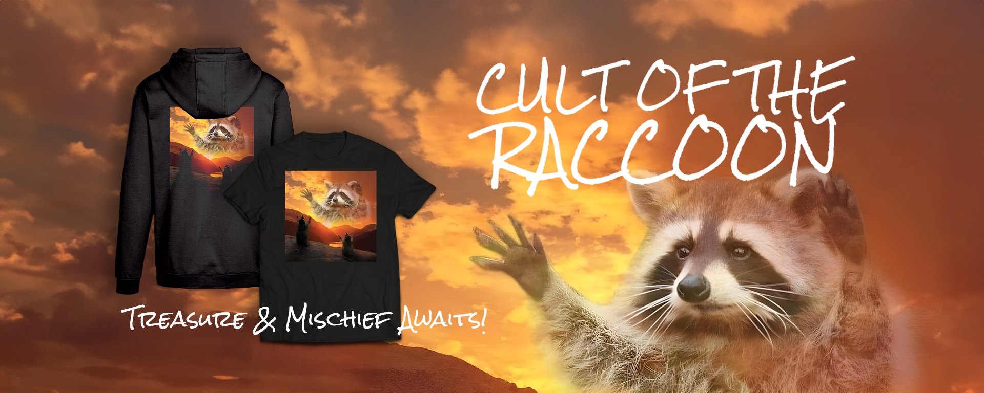 Cult of the Raccoon
