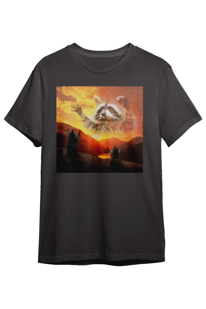 The Great Raccoon Sky