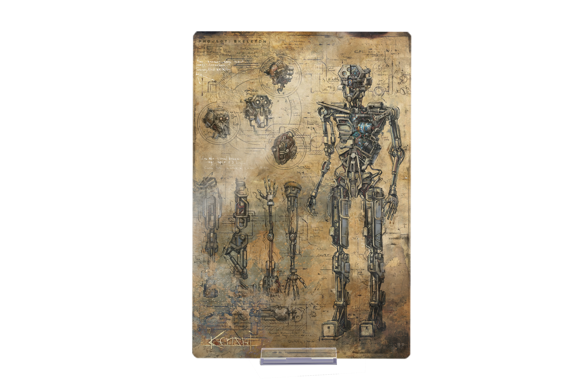 Skeleton Metal Print