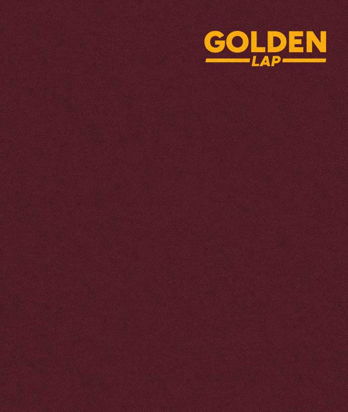 Golden Lap Hoodie-5