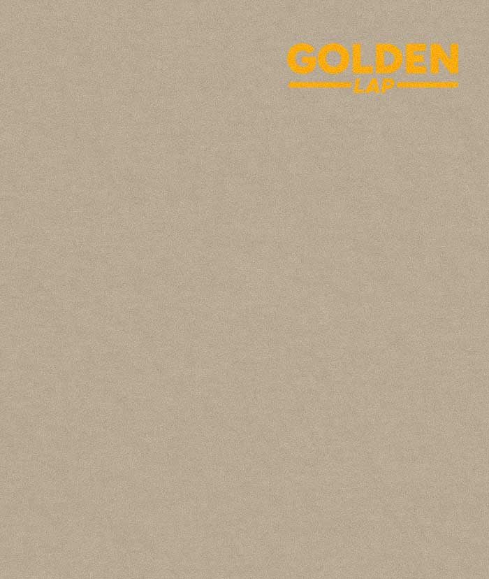GOLDEN LAP-16