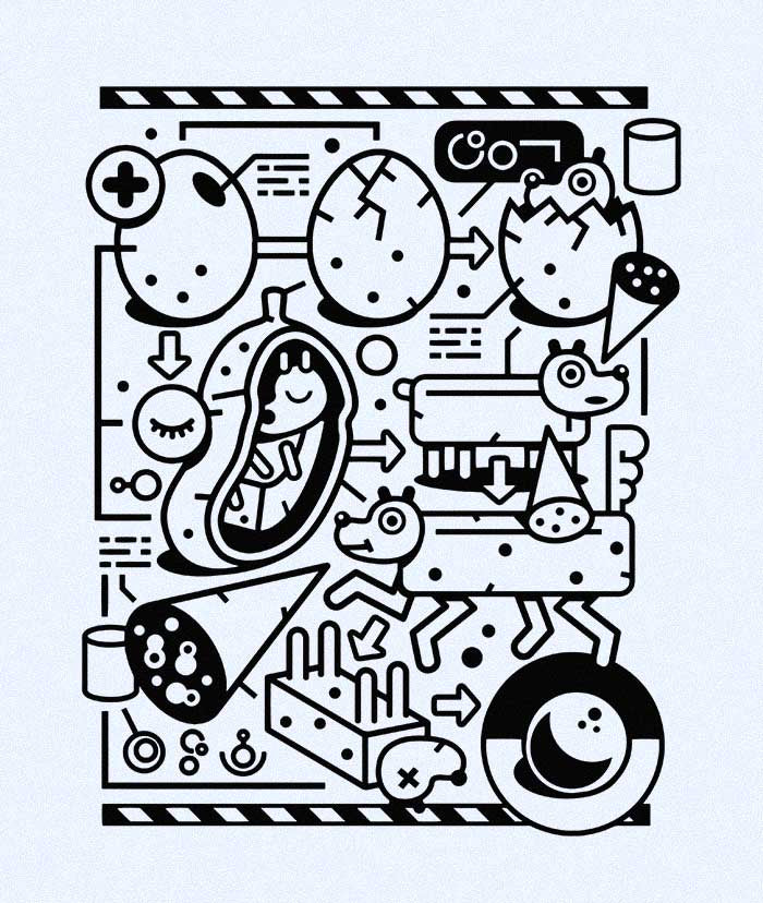 Life Cycle